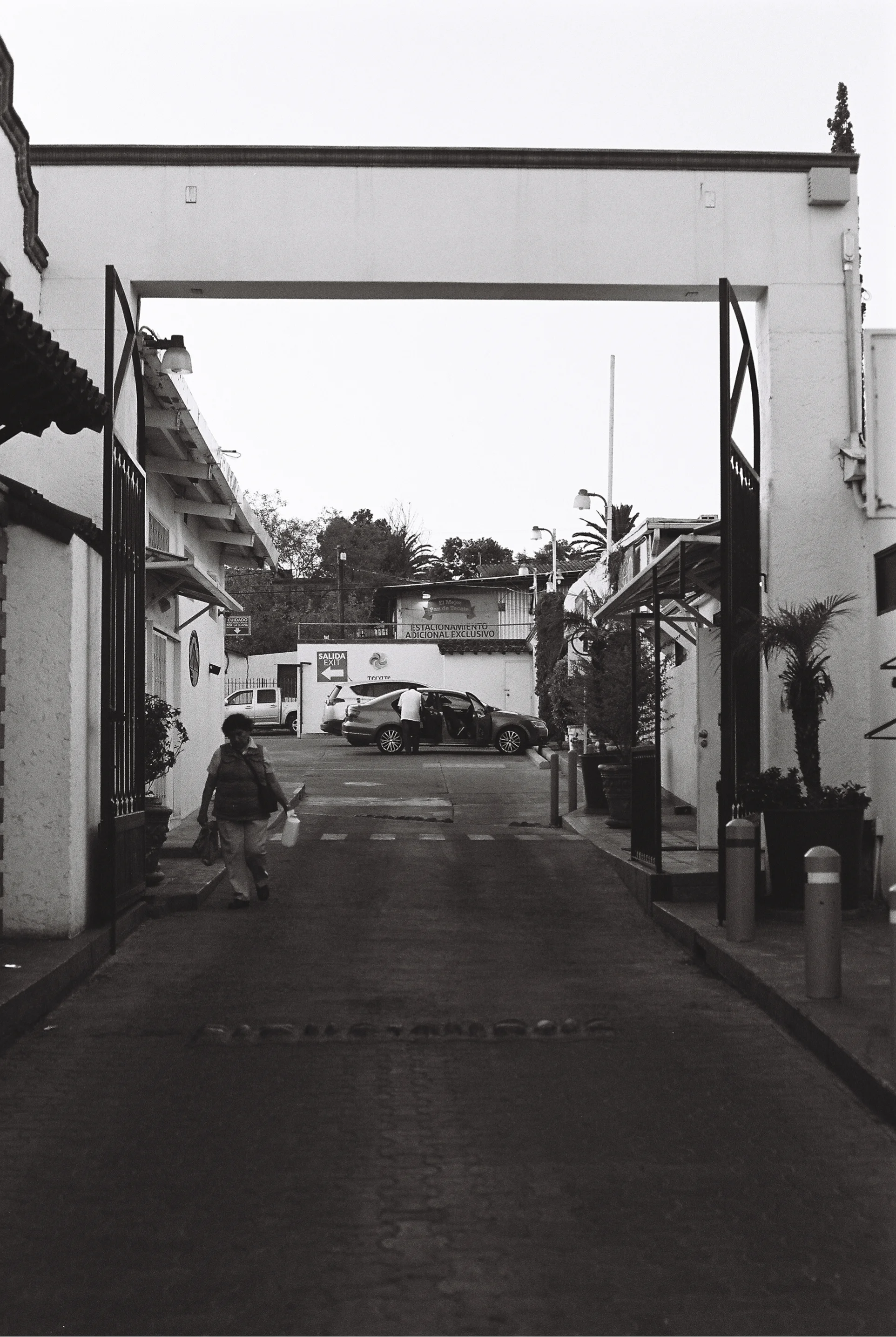 TMT-R2-TMAX400-60.jpg