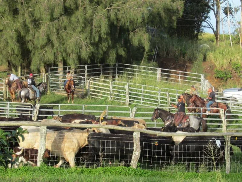 Conservation easements have been used to protect ranch and agricultural properties across Hawaiʻi.
