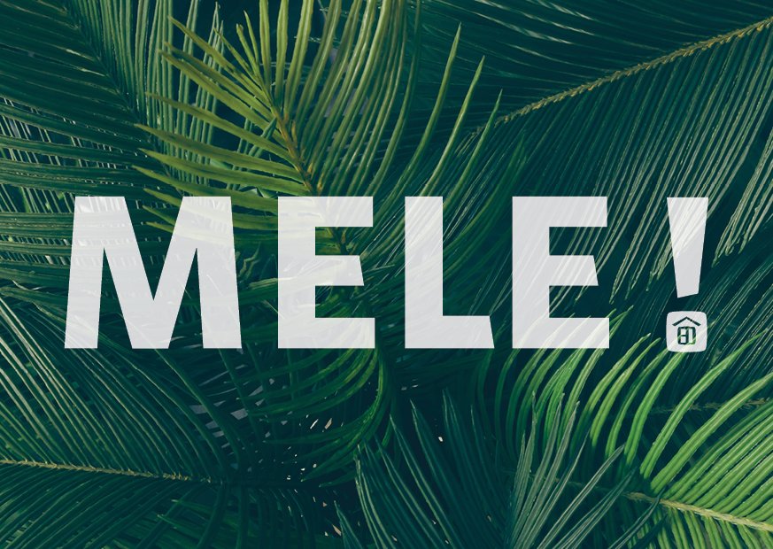 Folded Card - Mele Jungle