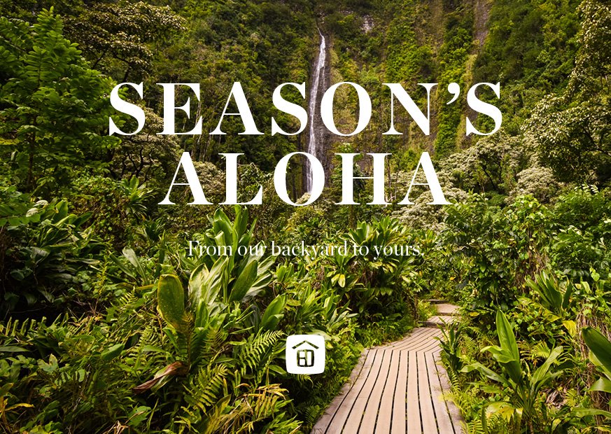 Season's Aloha - Jungle