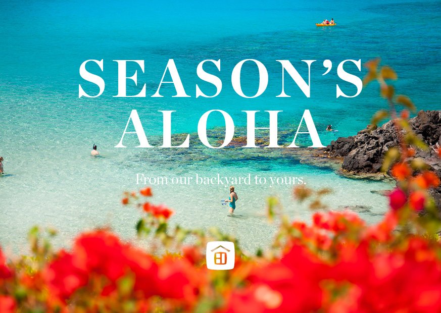 Season's Aloha - Bay Flowers