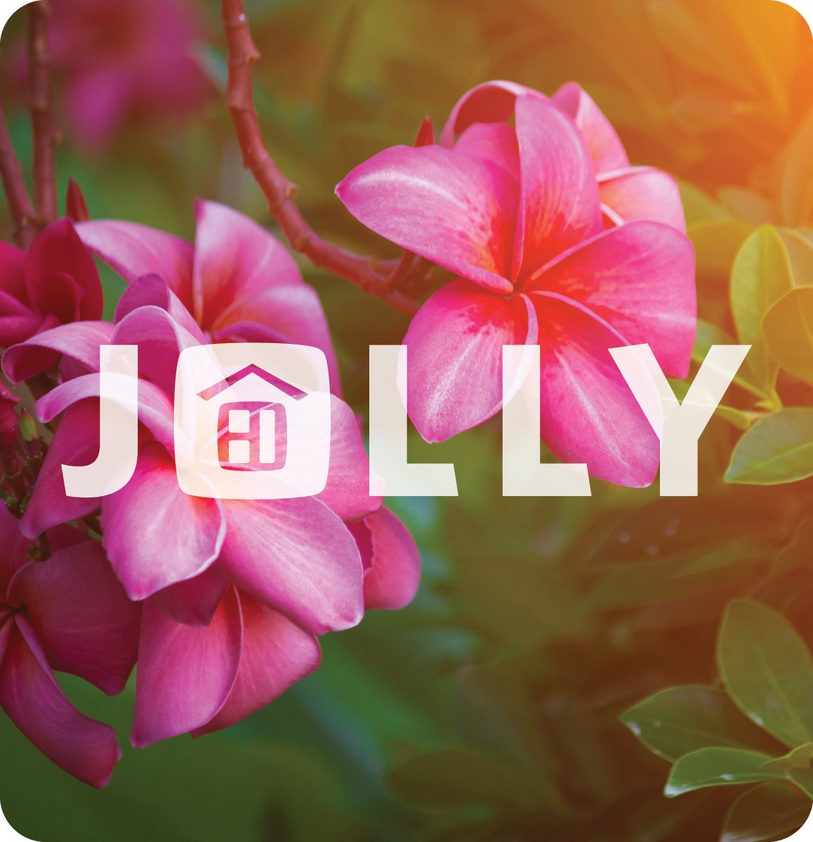 Jolly Logo - Flowers