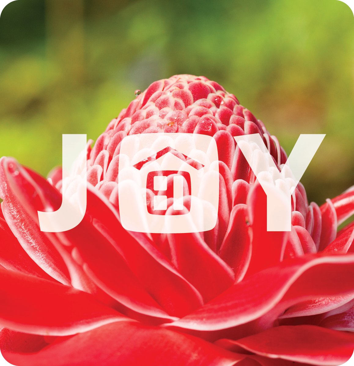 Joy Logo - Flowers