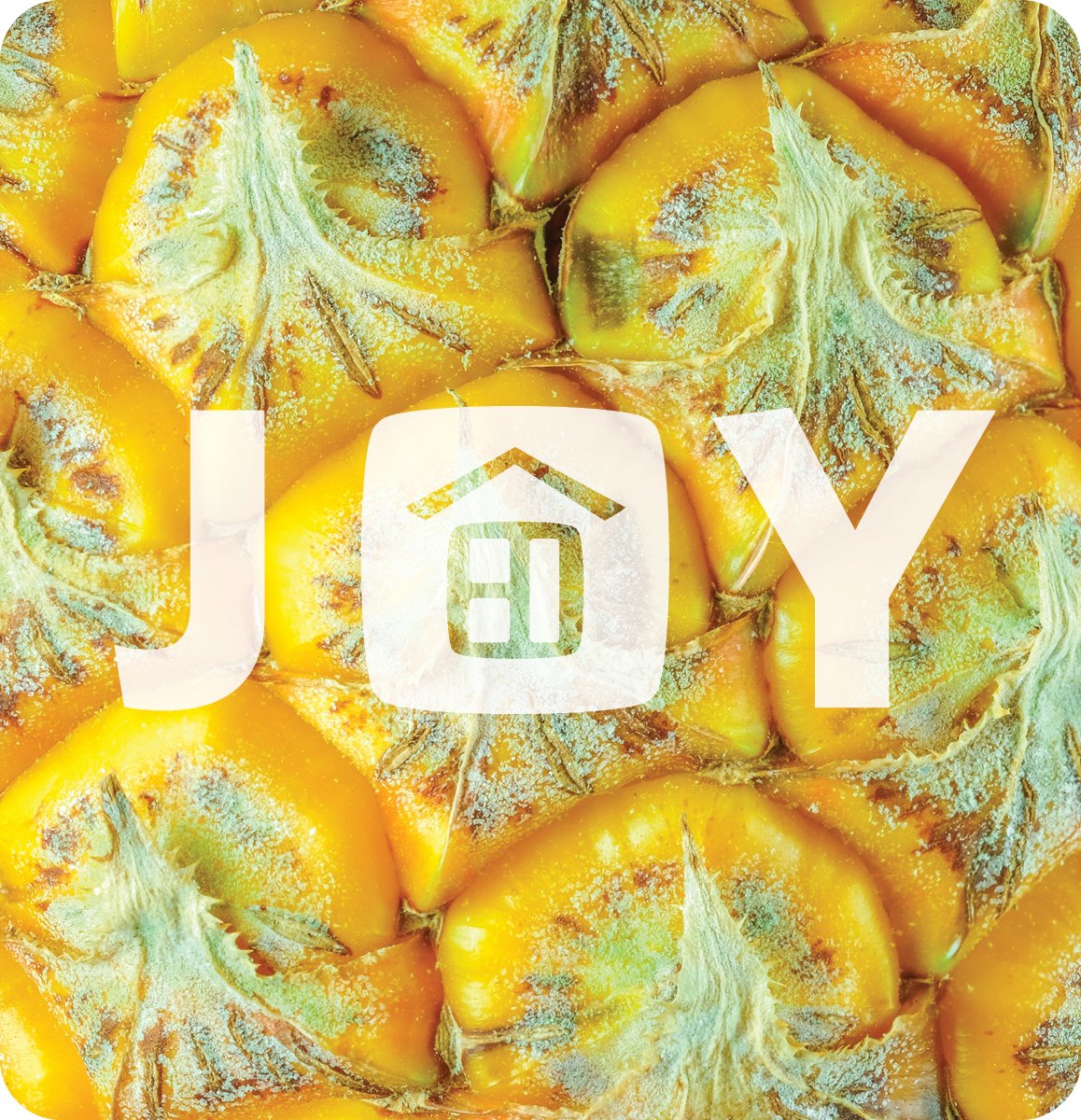Joy Logo - Fruit