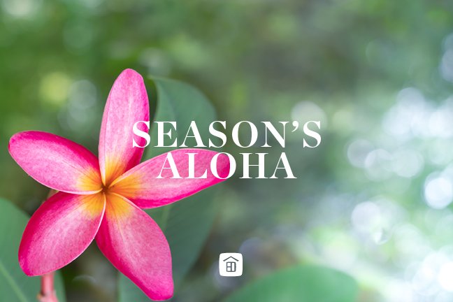 Season's Aloha - Plumeria