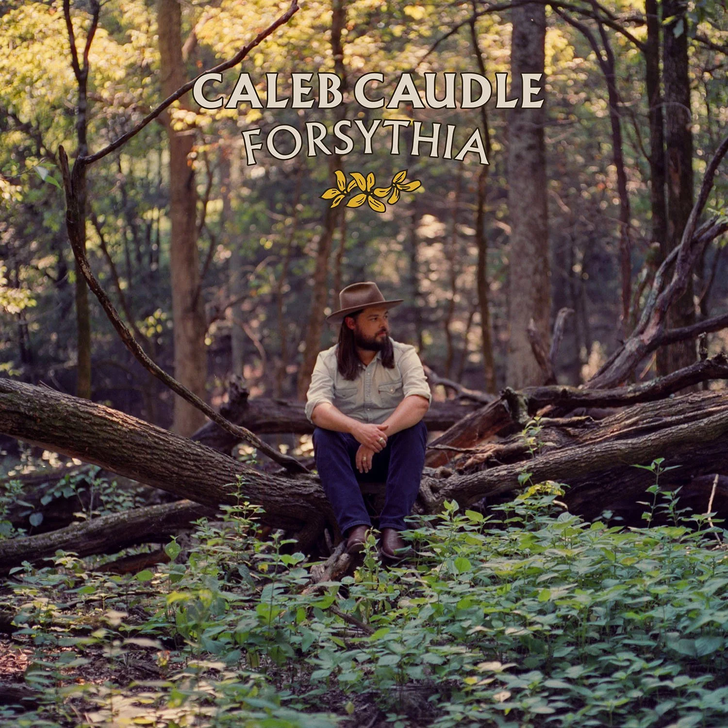 New Album Forsythia available everywhere October 7th!