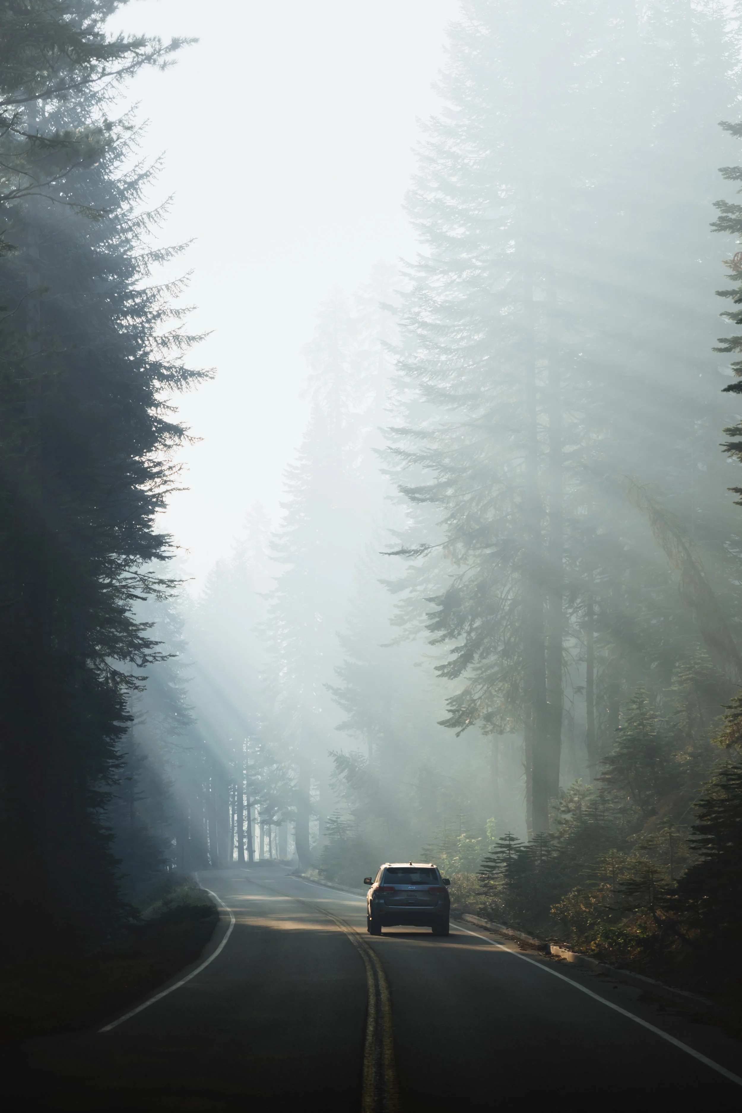 drive.jpg