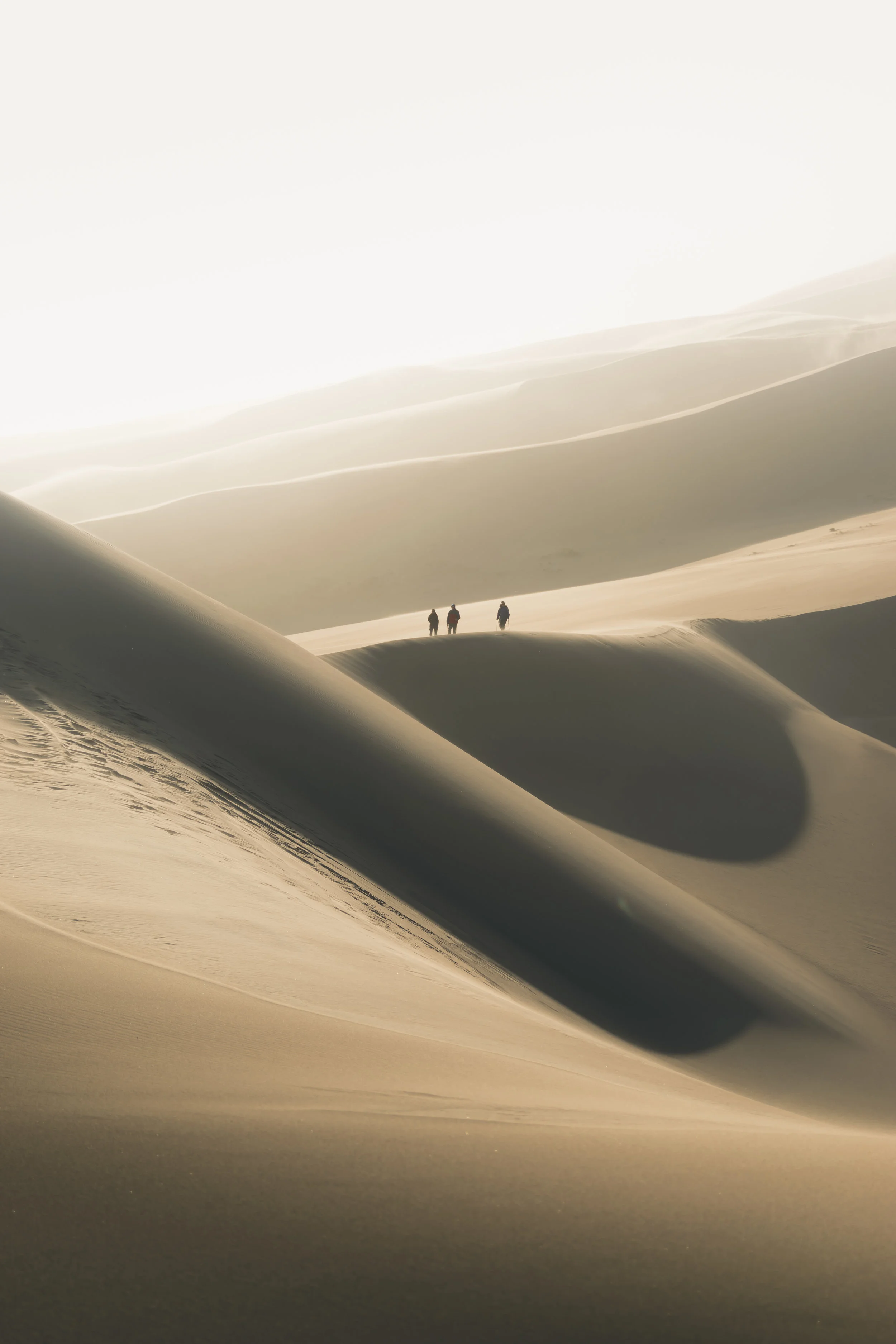 sanddunes.jpg