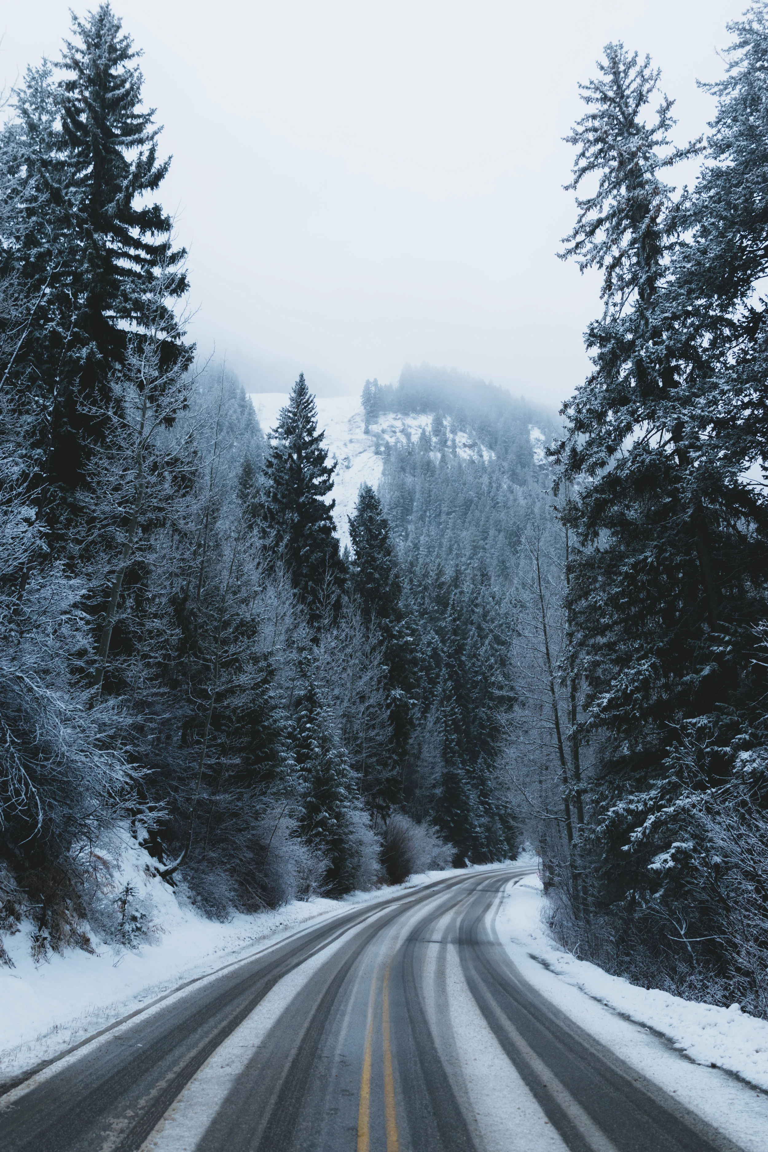 winterdrives.jpg