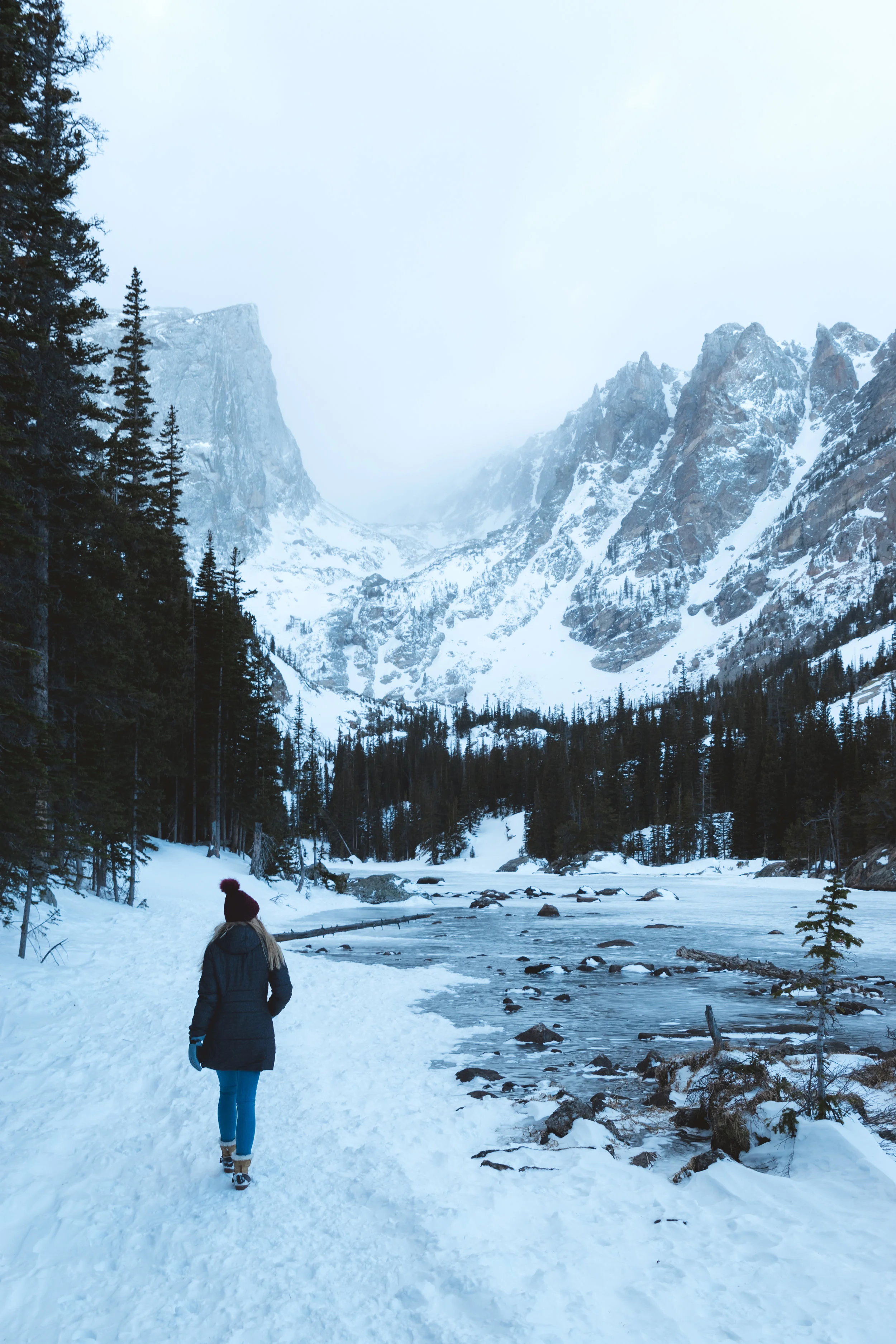 dreamlakewinter.jpg