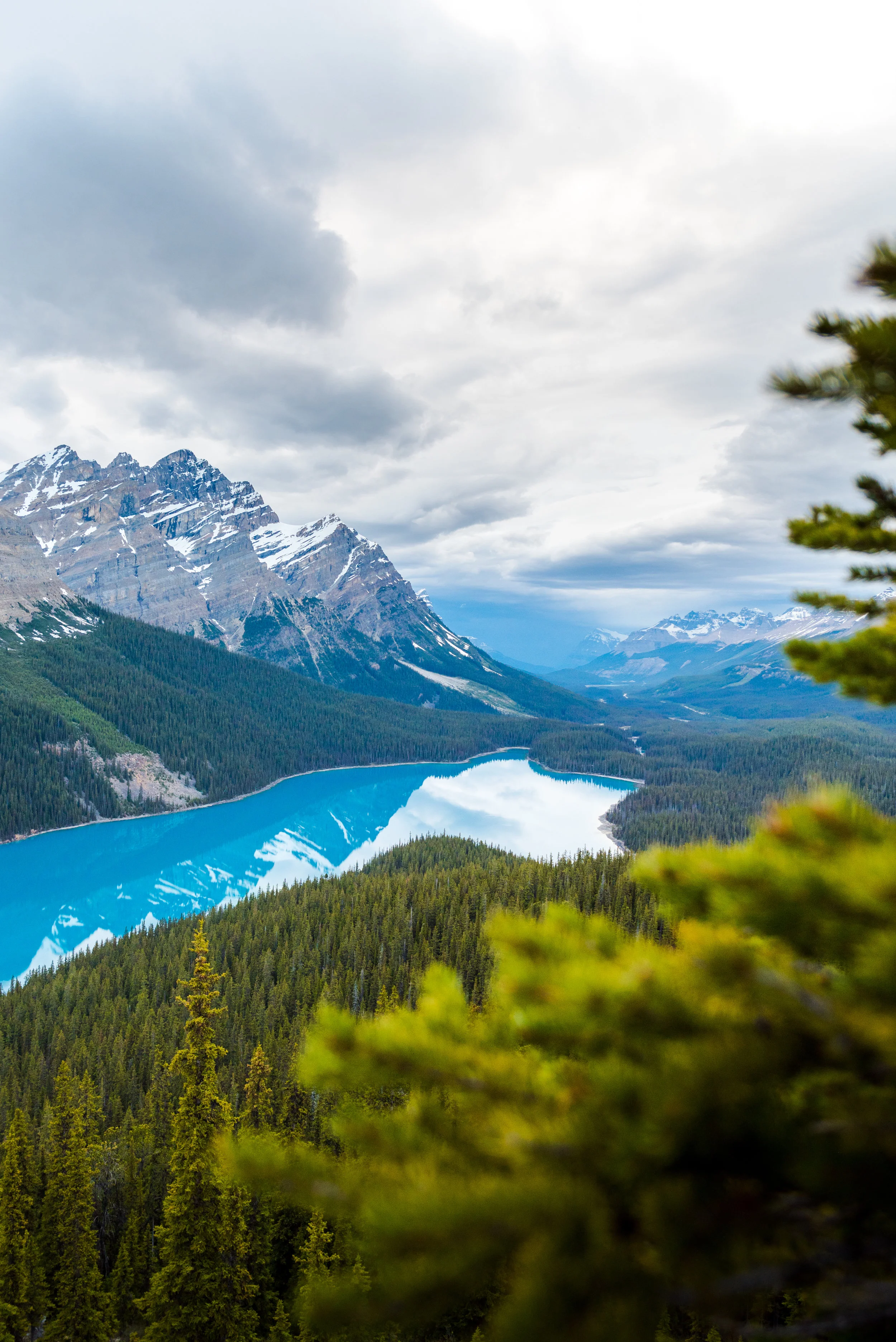 Peyto depth.jpg