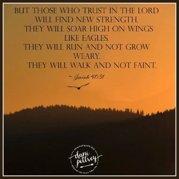 Soar On Wings.png