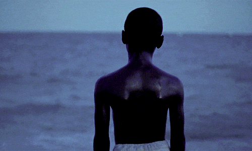 ezgif.com-gif-maker (1).gif