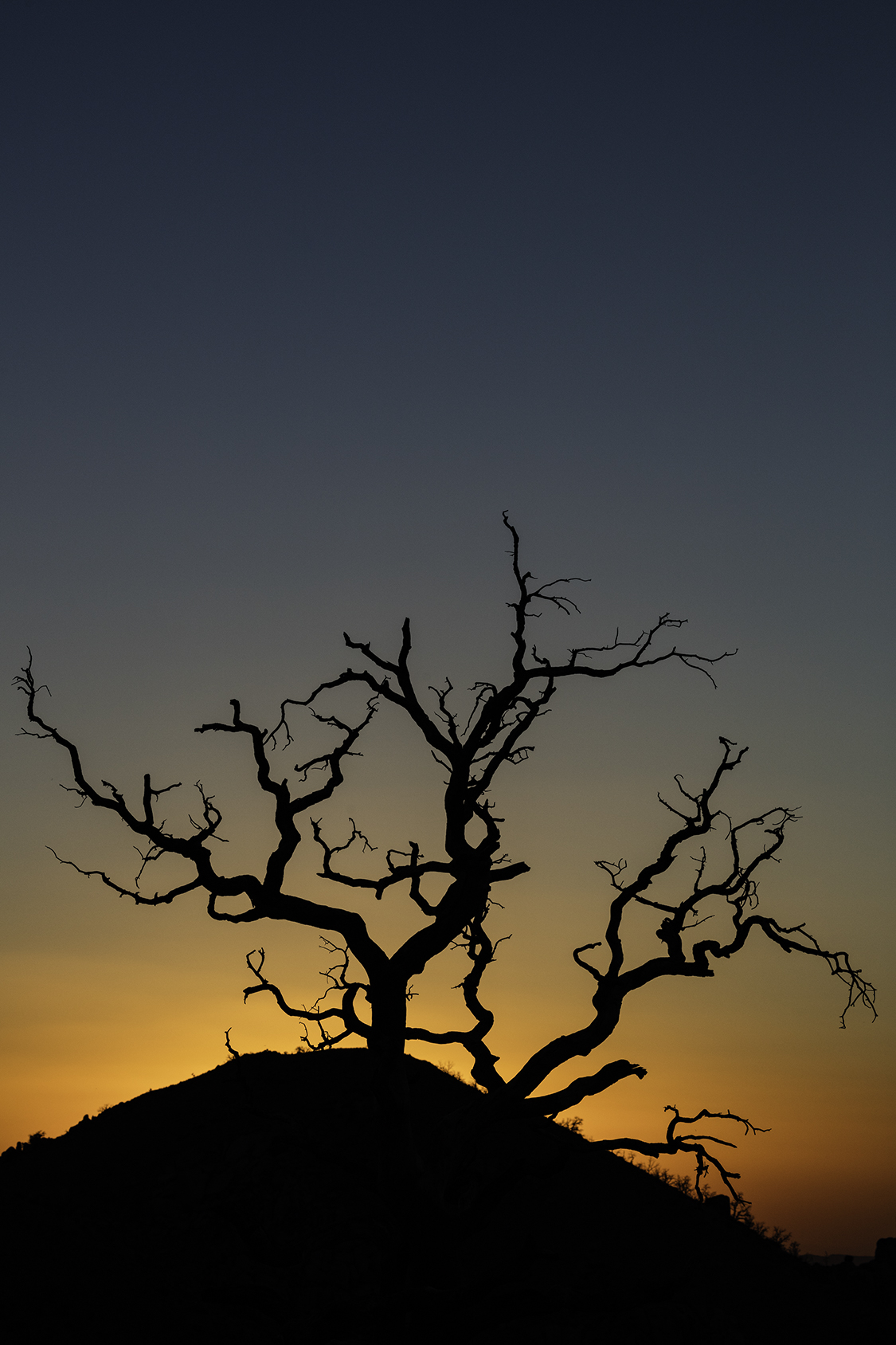 MidHillsSunset.jpg
