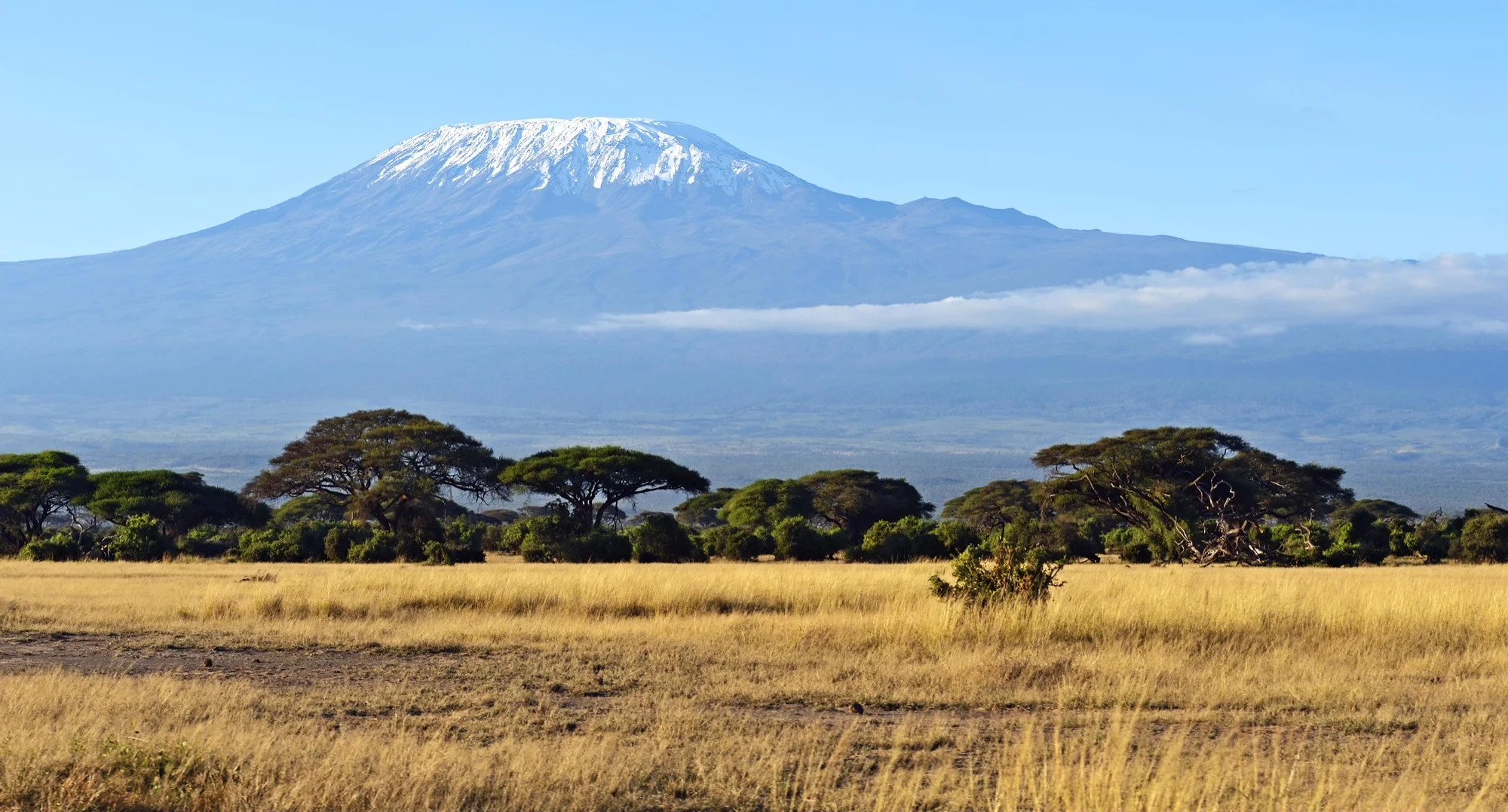 Mt Kilimanjaro / Africa Challenge!