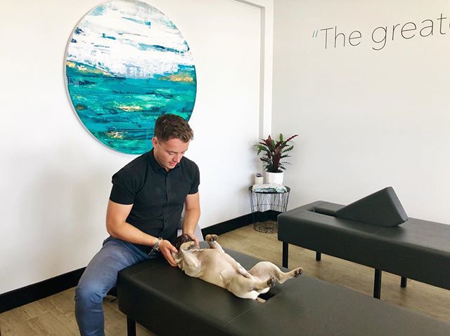One of our favourites is Winston!! @winstonremuera loves getting his batteries recharged before the weekend! 🧠🔋💡
