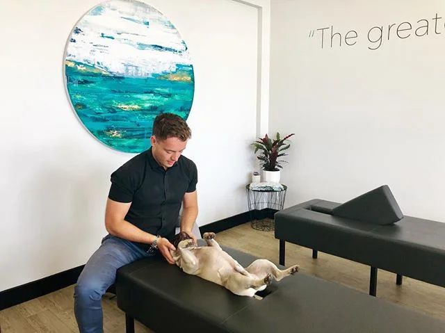 One of our favourites is Winston!! @winstonremuera loves getting his batteries recharged before the weekend! 🧠🔋💡