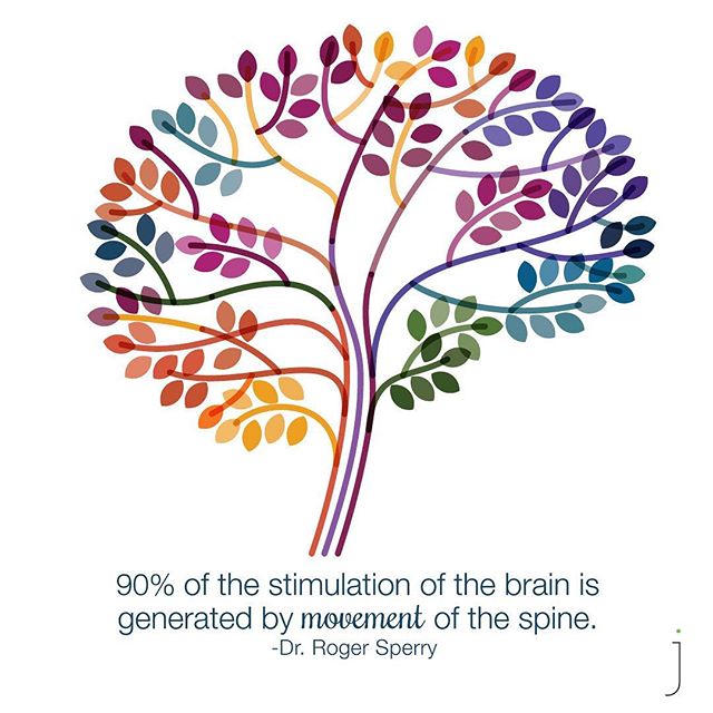 MOVEMENT IS LIFE

There are so many benefits to our brain 🧠 by keeping our spine and body moving! This weekend remember not only to get adjusted, but to get out and stay active 🏃&zwj;♂️🏋️&zwj;♀️⛹️&zwj;♀️🚴&zwj;♂️ Here are some ideas of what we like to do:

Dr Dylan - Beach walk with the dogs 🐾 
Justin - Weightlifting 🏋🏽&zwj;♂️
Benson - Swimming 🏊&zwj;♂️ Dr Ren&eacute;e - Yoga 🧘&zwj;♀️ Dominique - Coffee and walk ☕️ David - Volleyball 🏐 
Travis - Drumming 🥁 
#active #wellness #health #chiropractic #auckland #remuera #acupuncture #massage #jfc #adaptability