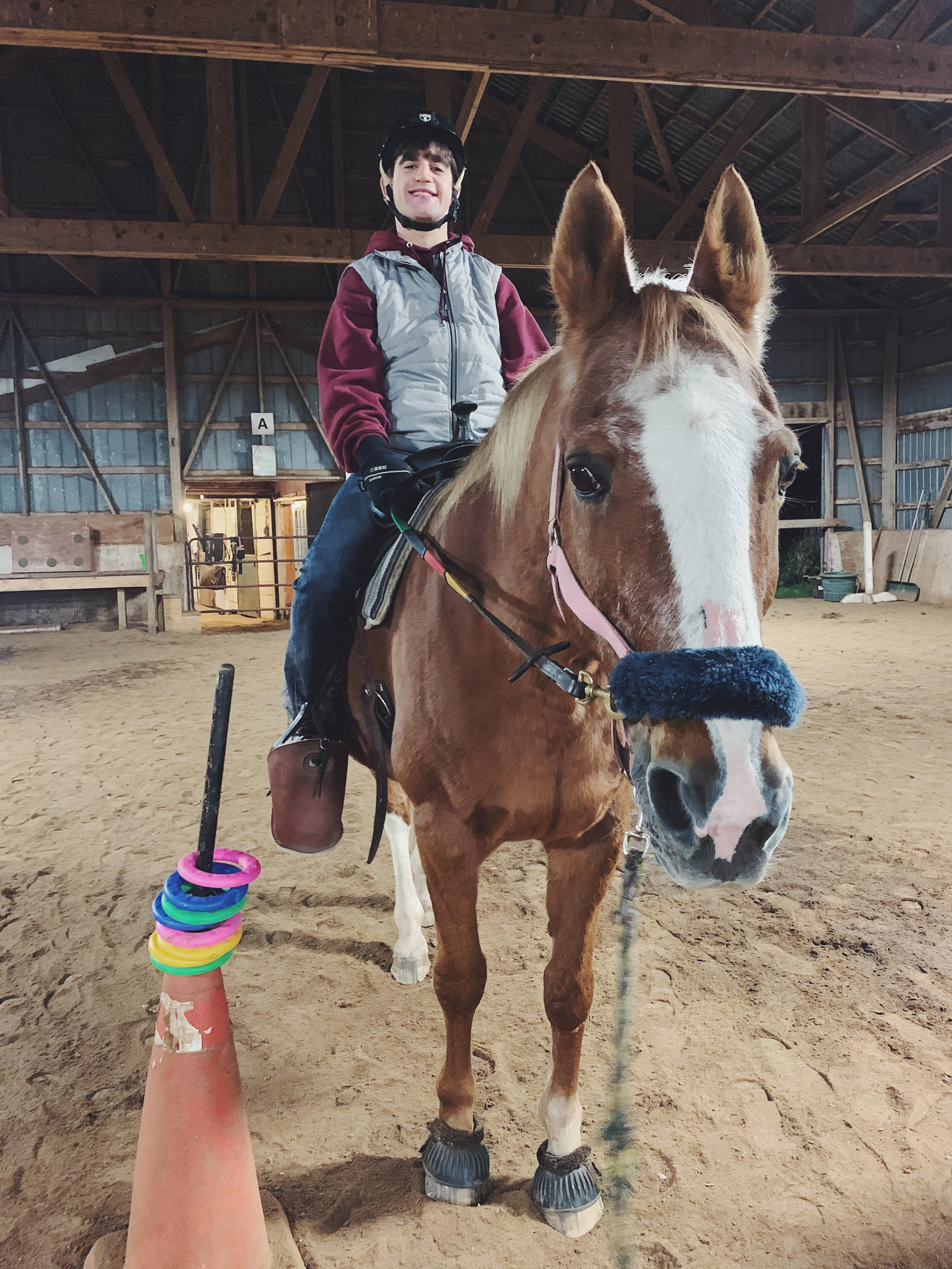 Therapeutic Riding Lessons — Foxfield Stable