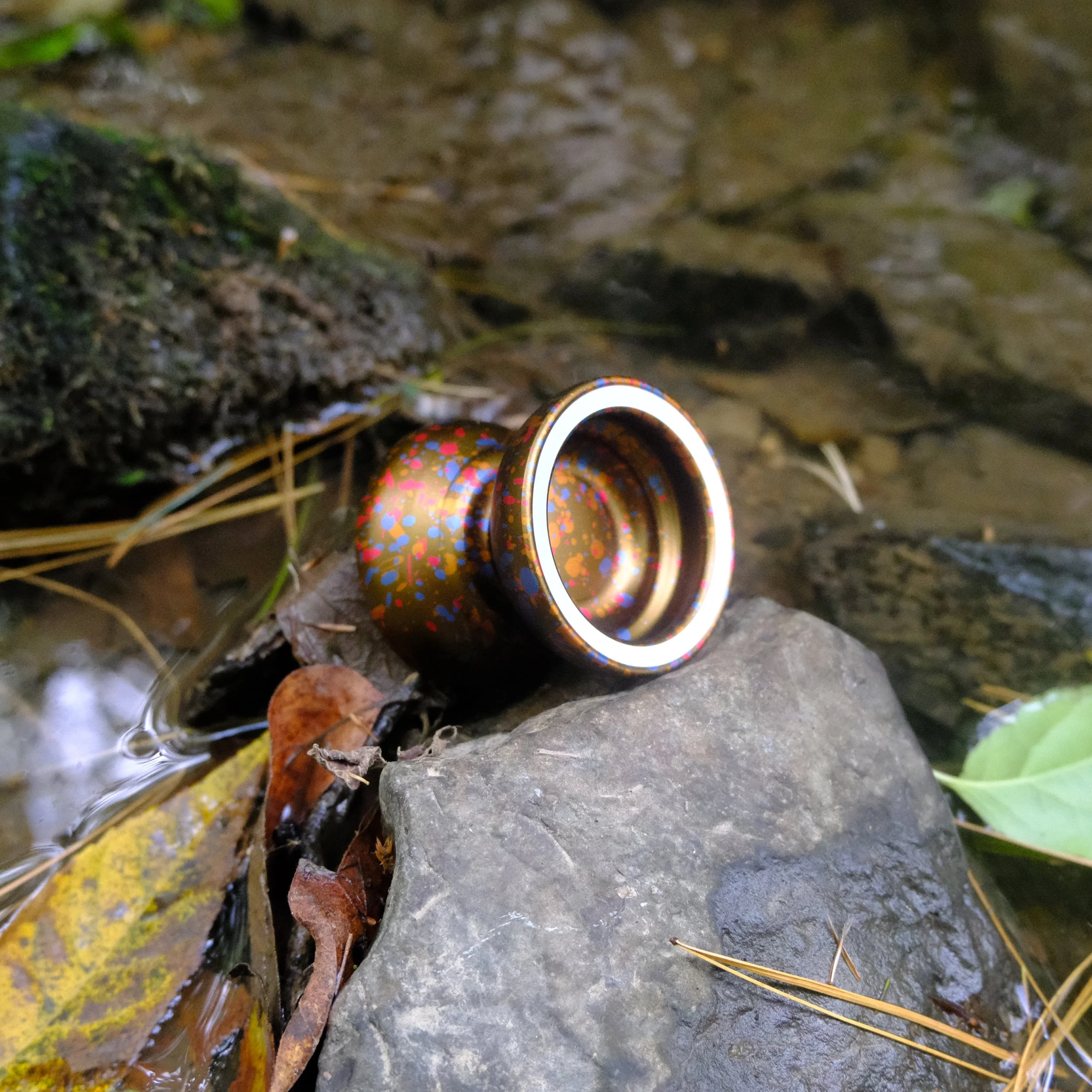 DSCF1295.jpg