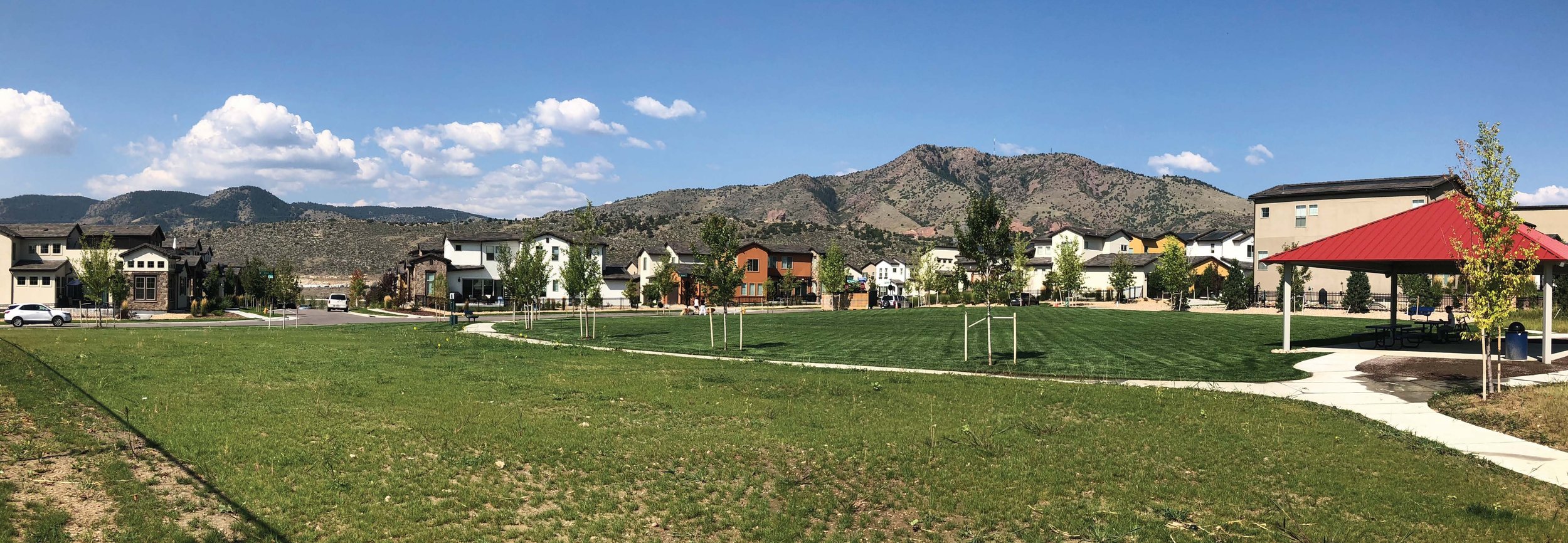 Orchard Park Pano - Looking across native seed to mountains.jpg