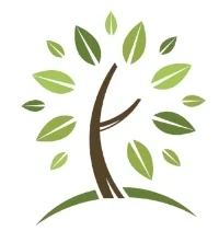 tree image.jpg
