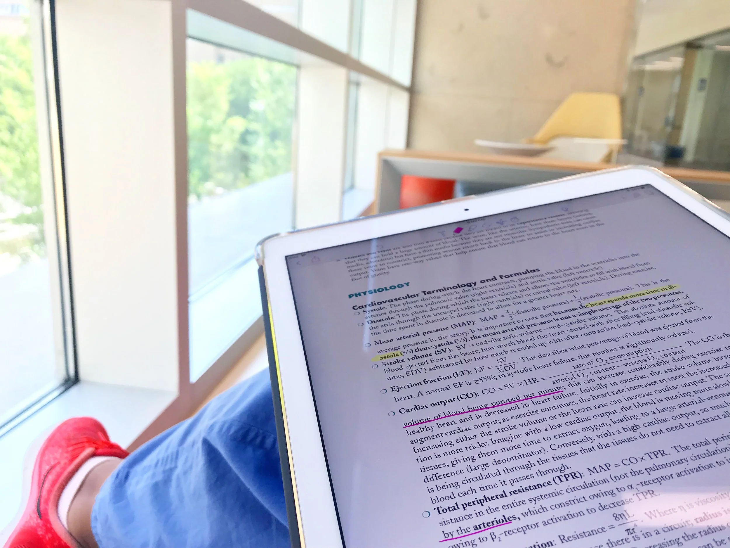 How to Survive 1st Year of Medical School