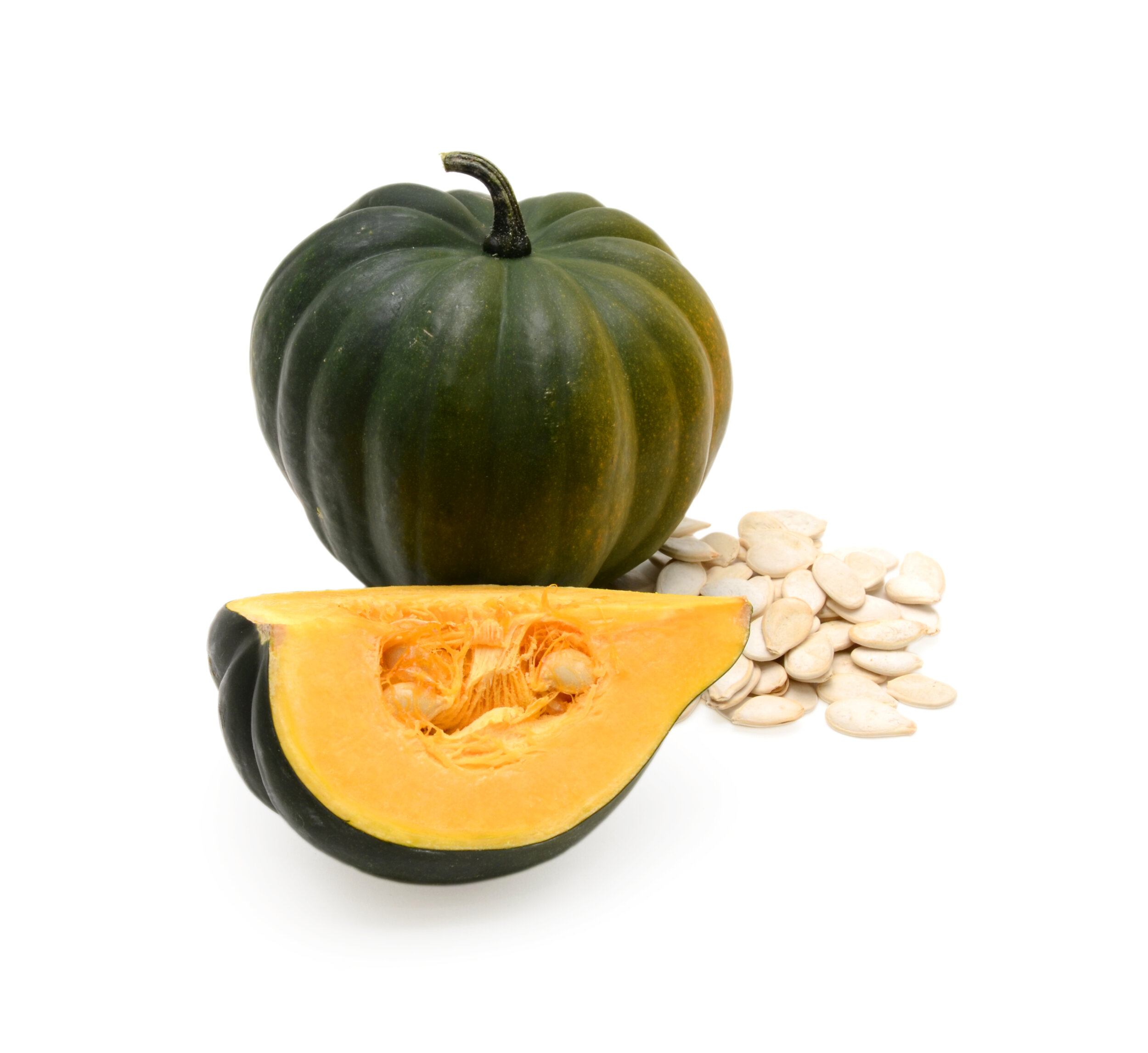 Acorn Squash.jpeg
