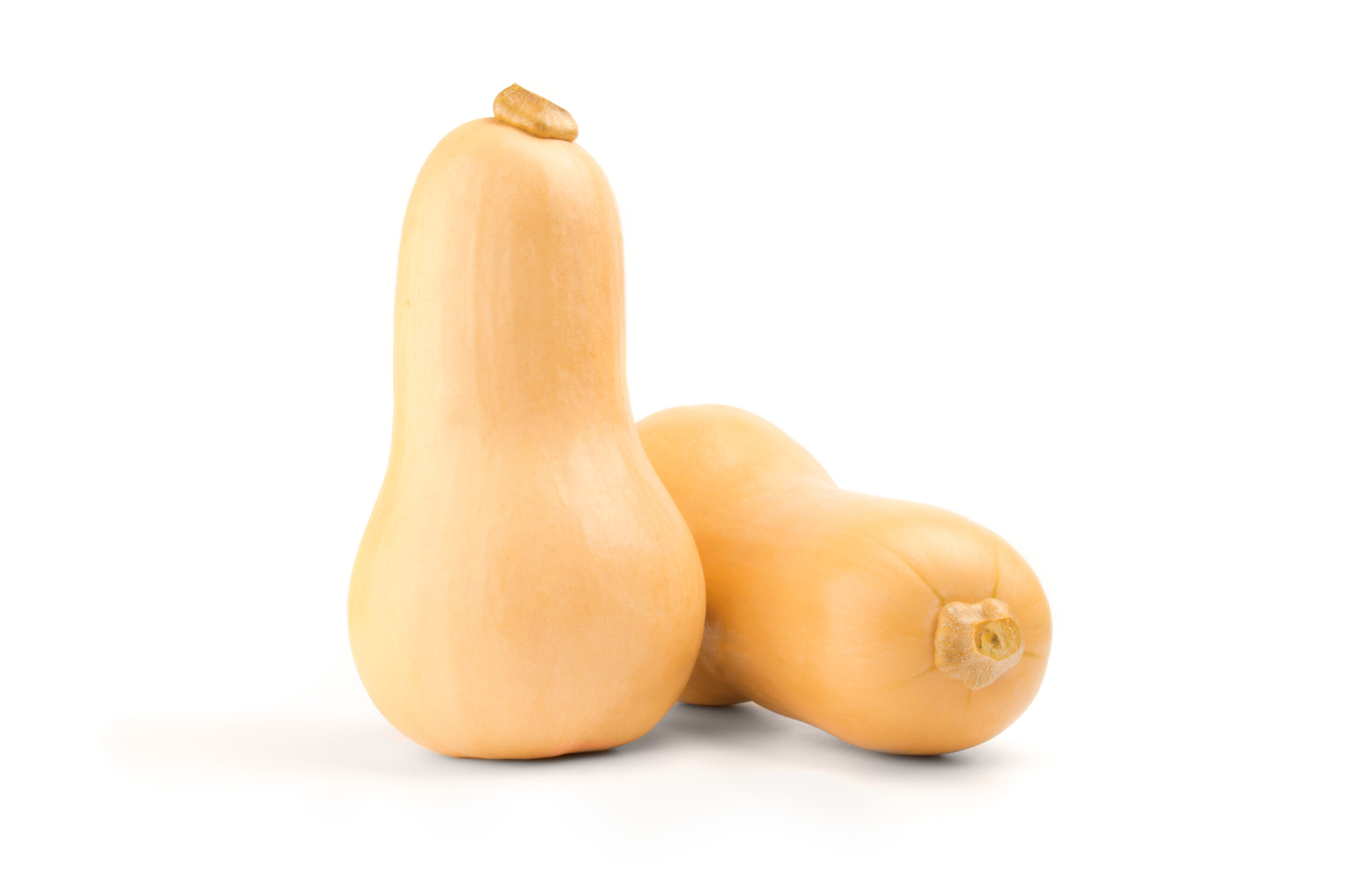 Butternut Squash - Copy.jpeg