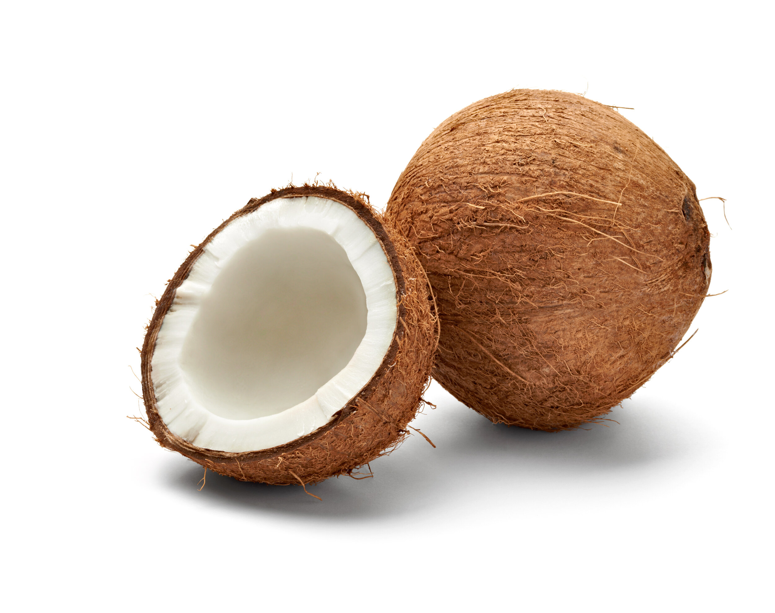 Coconuts.jpeg