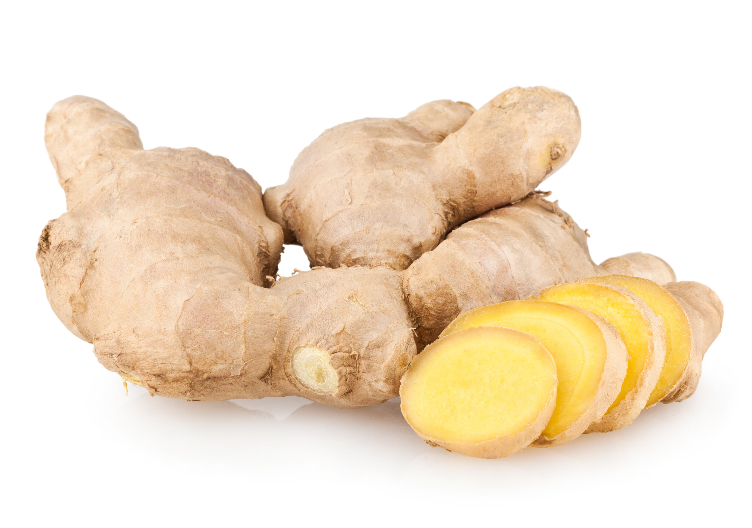 Ginger.jpeg