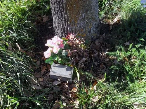 Nurse Isabel Clark memorial