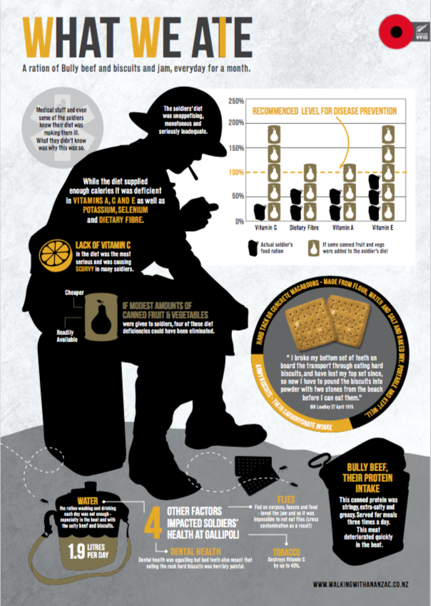 What We Ate - Fact Sheet