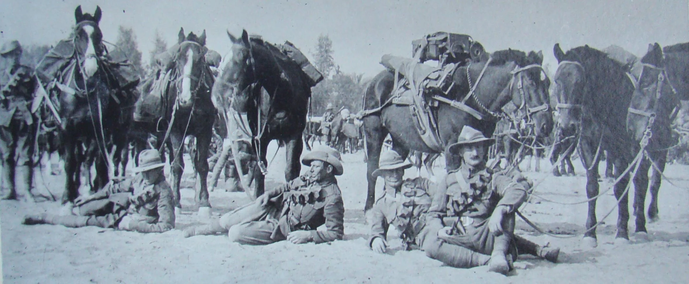 Mounted_rifles.jpg
