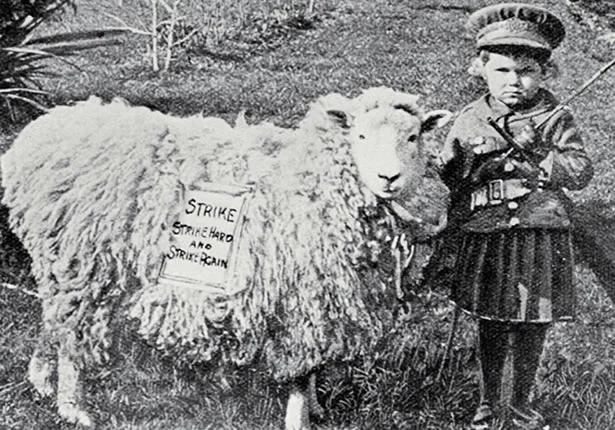 hero_sheep-patriot_0.jpg