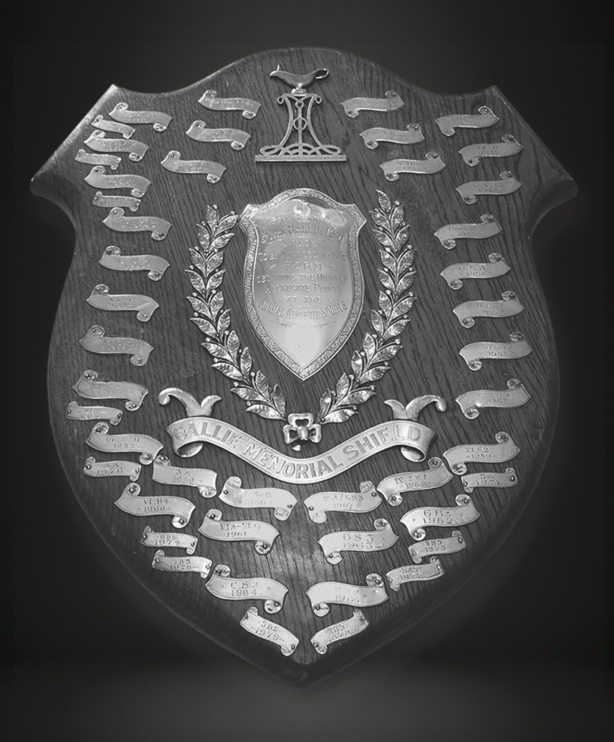 The Gallie Shield