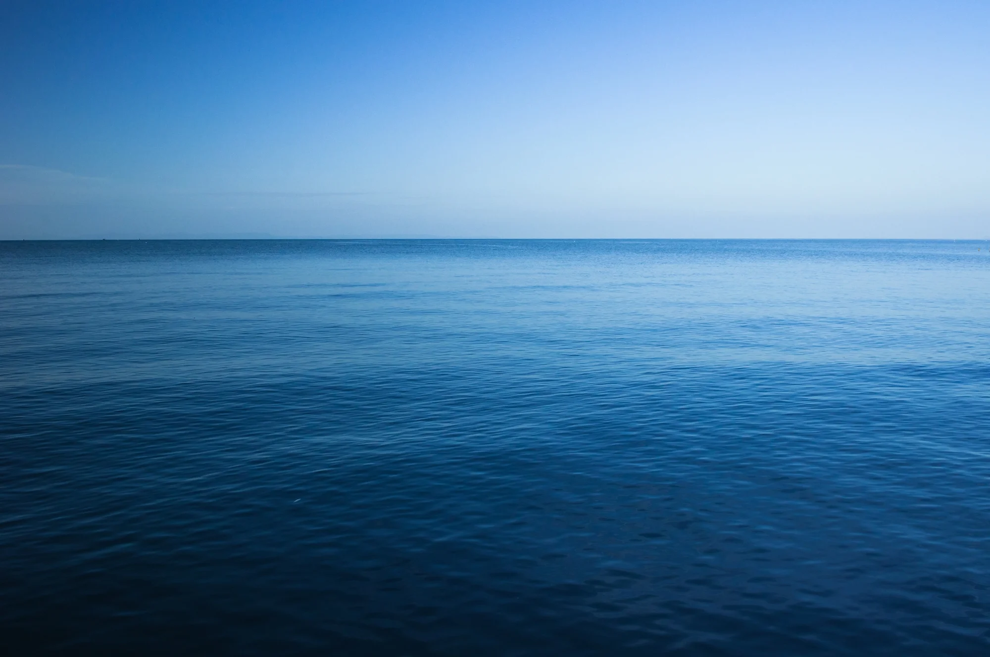 shutterstock_229991677.jpg
