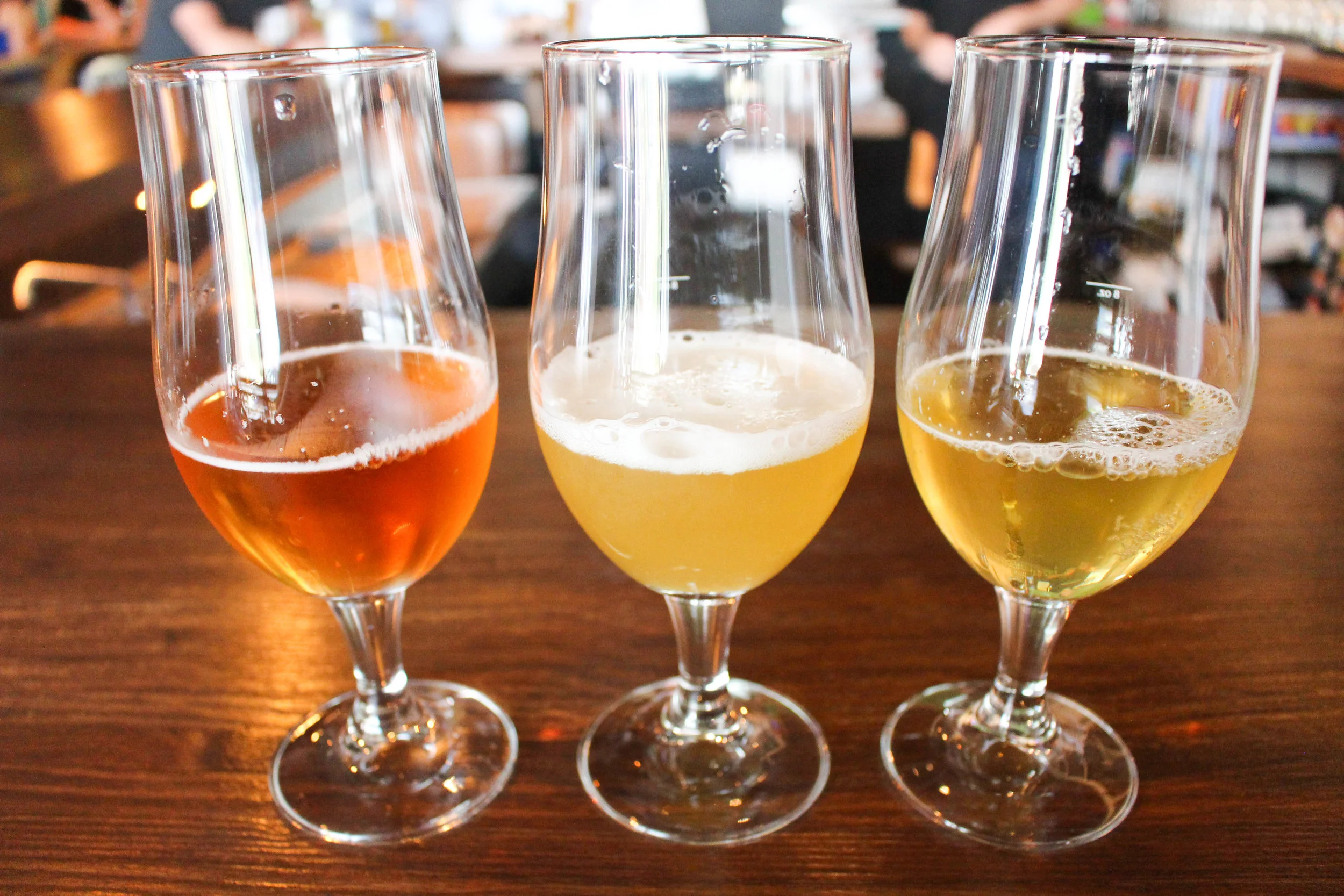 Review // Wandering Tortoise