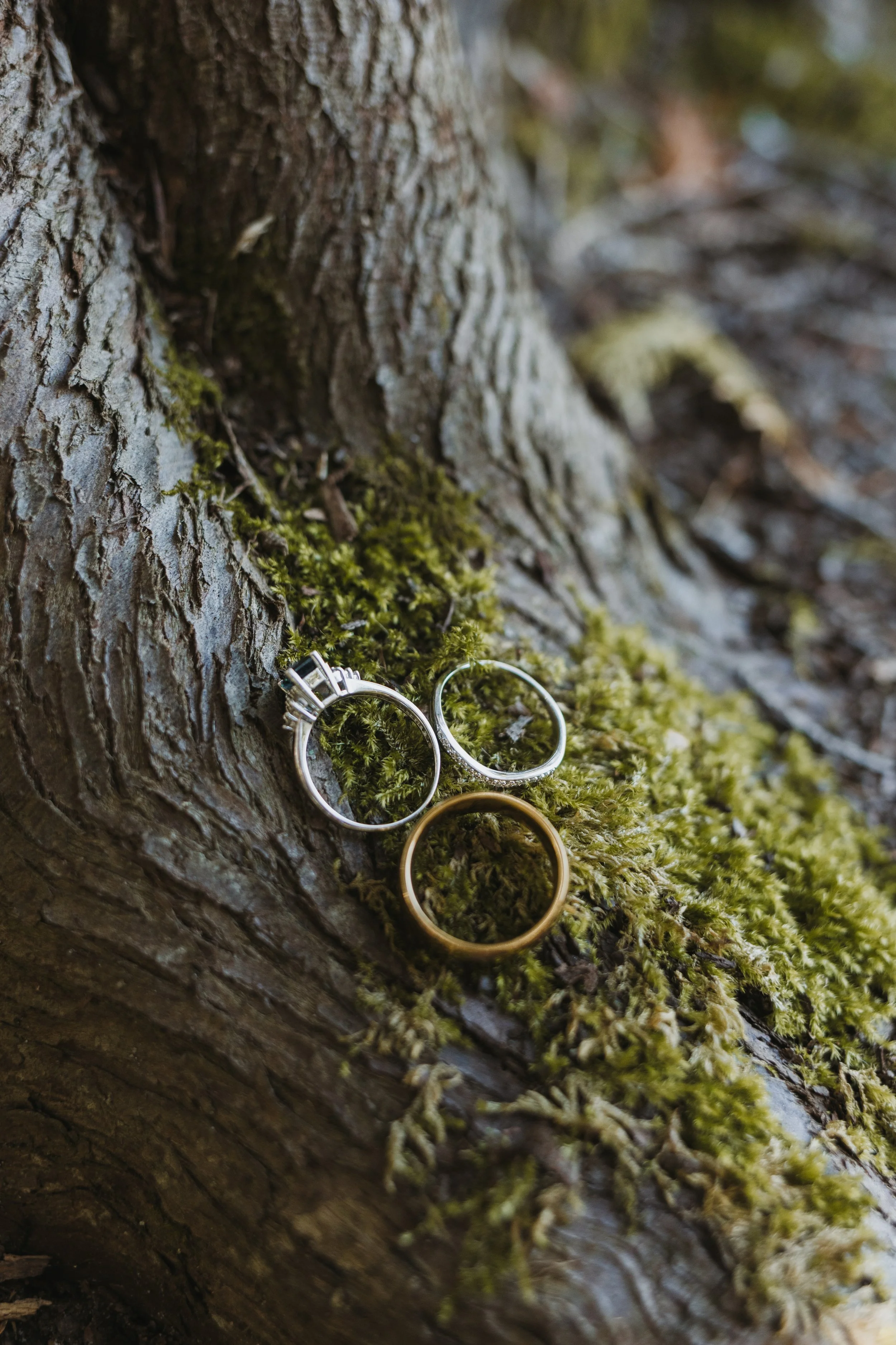 jaxlens-maurer-doorcountyelopement84.jpg