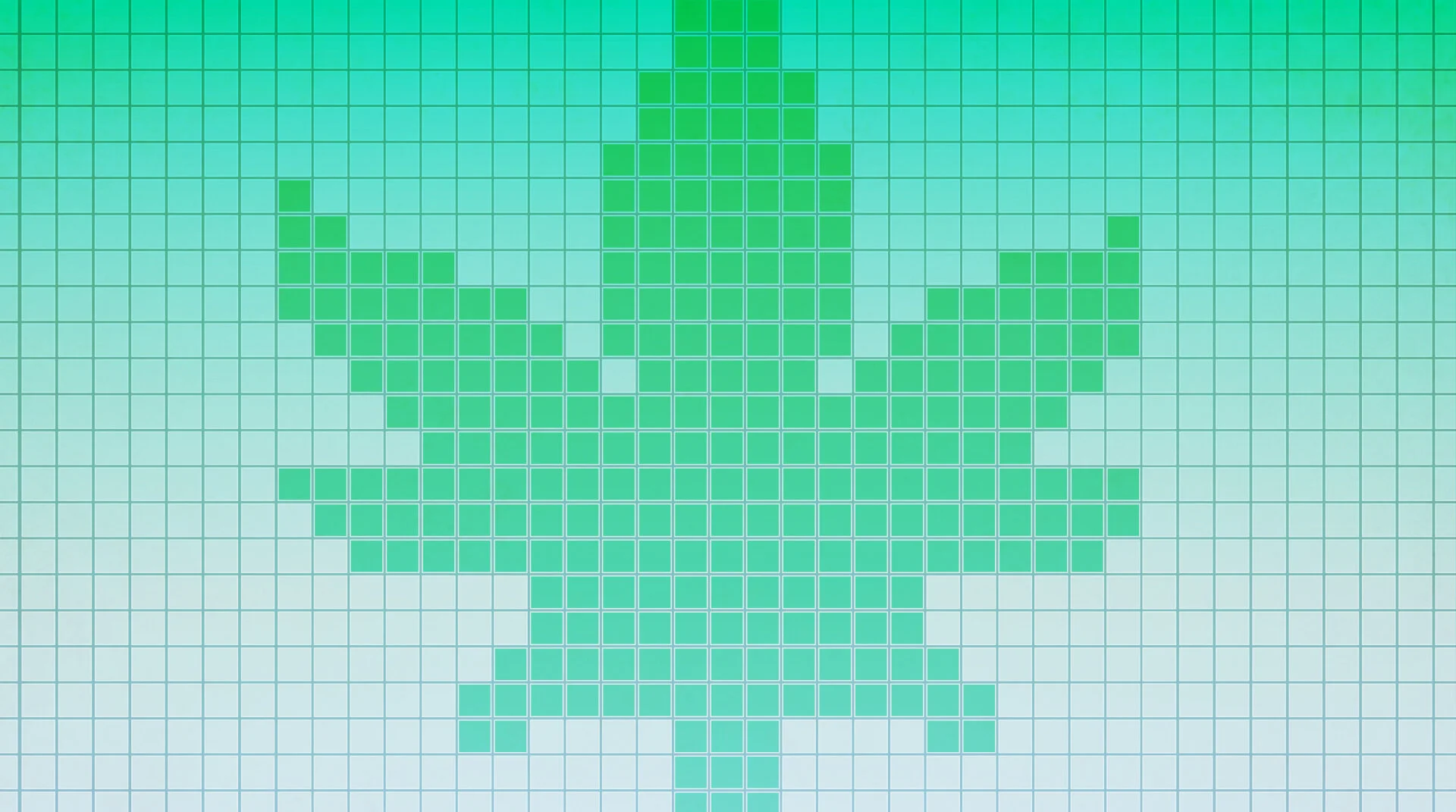 Web 1920 – 6@2x.jpg