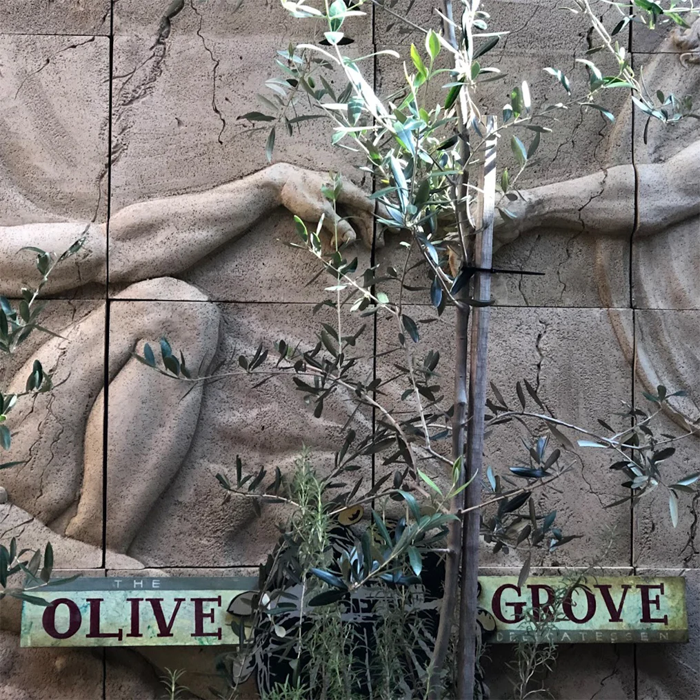 TROME MAZI (EAT TOGETHER) - THE OLIVE GROVE 