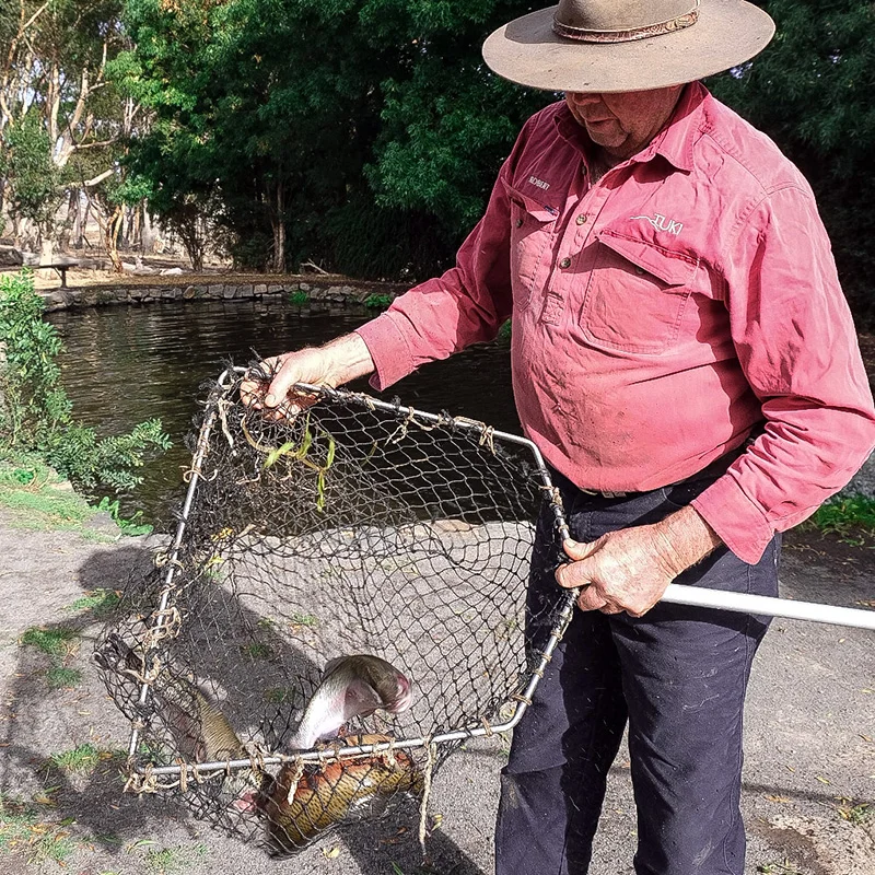 Tuki Trout Farm - Essentials of preparing fresh trout&nbsp;