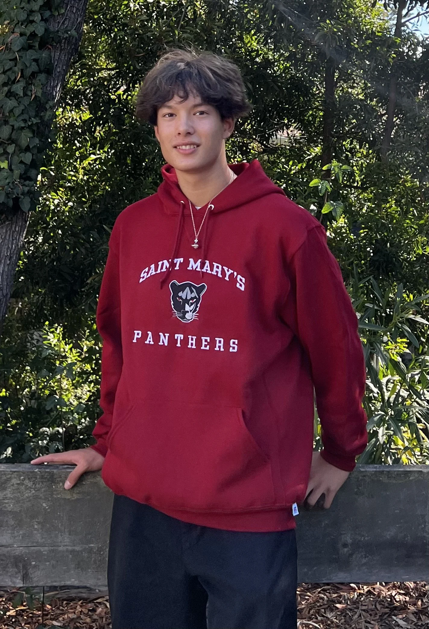Panther Head Hoodie Cardinal