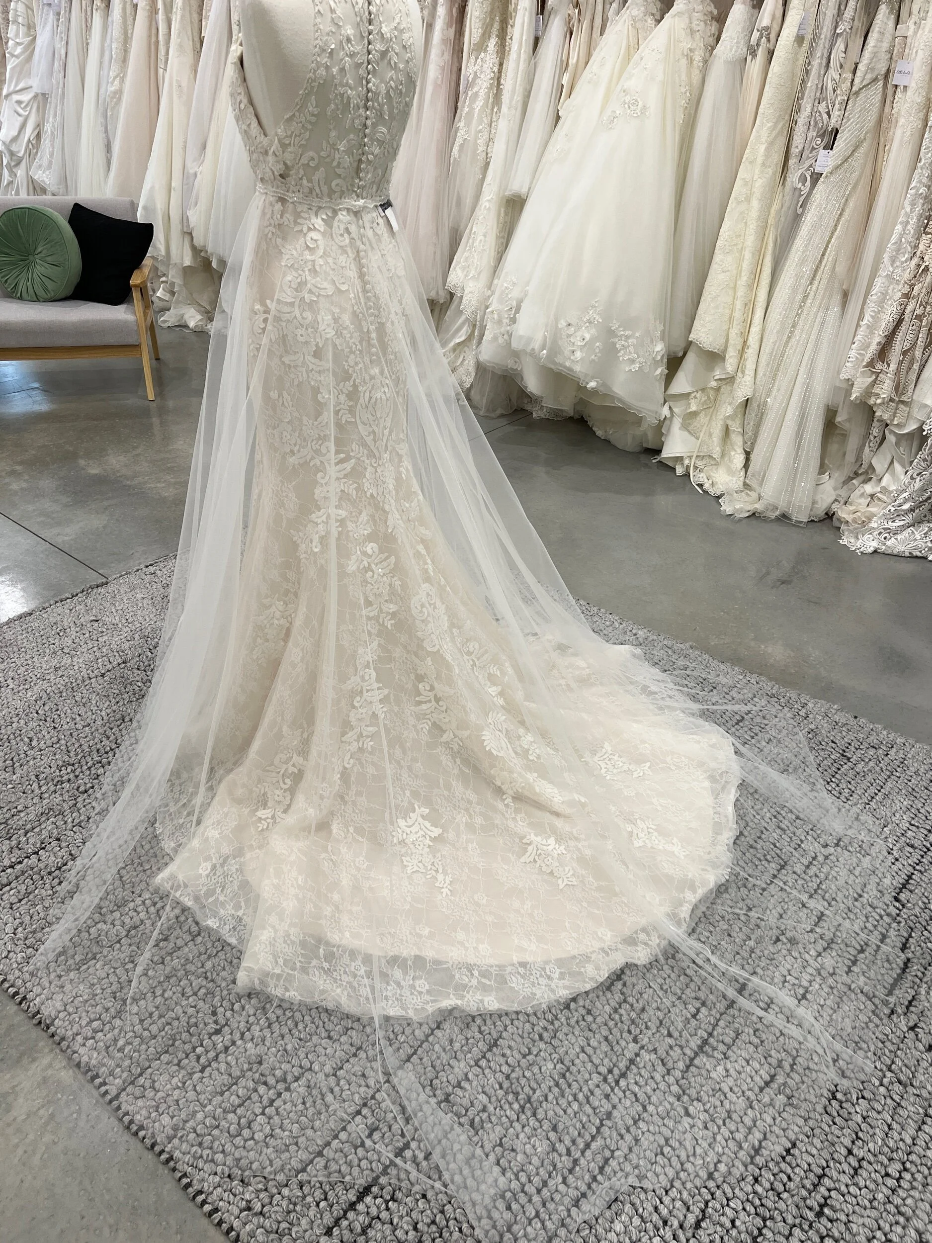 9A6FF373-6A2A-4B70-8315-729F97B459F5