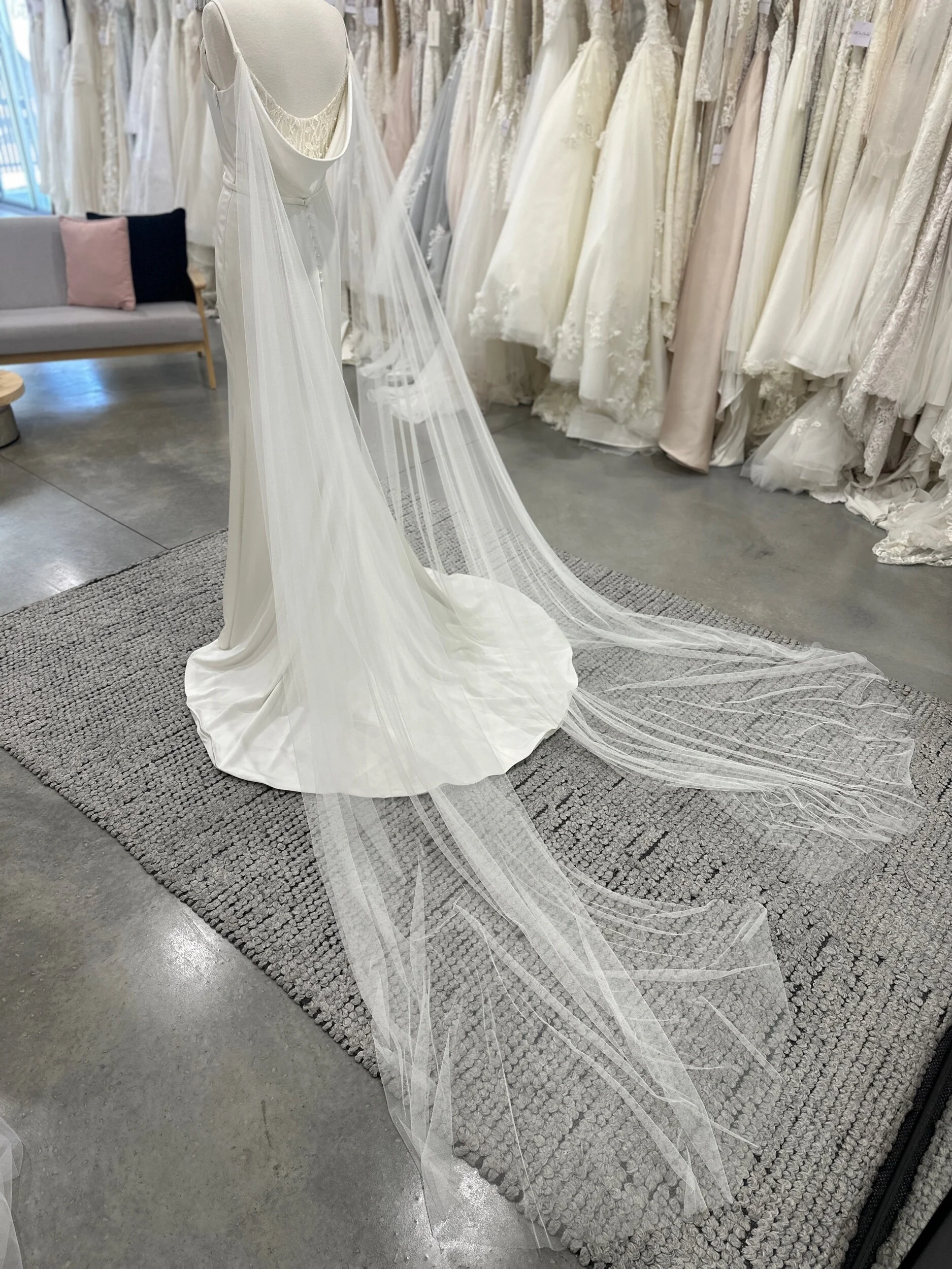 22B55414-7B87-4EF5-9375-CD4869E01824