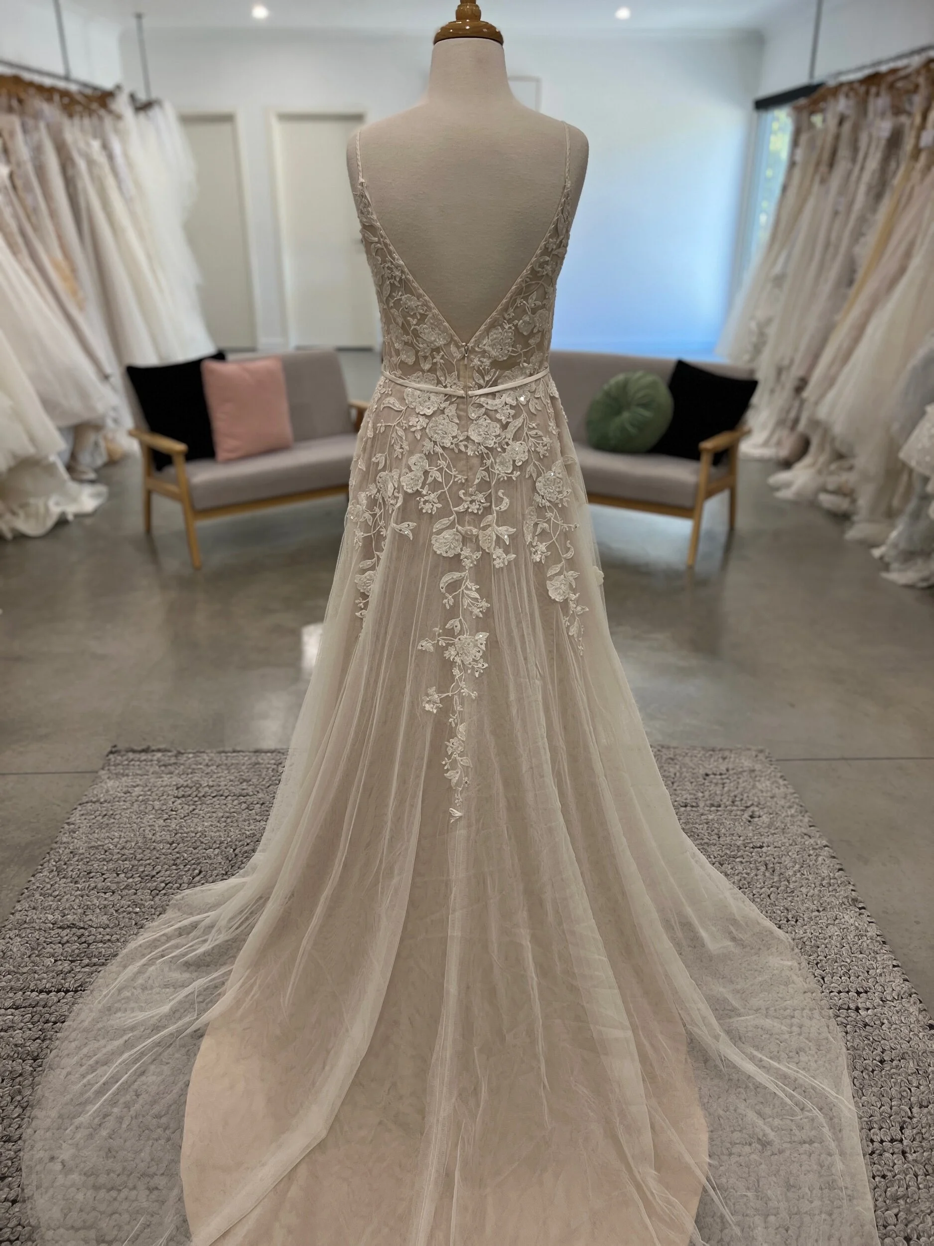 38338AAE-BDC6-4954-8FC3-050B95798BEC