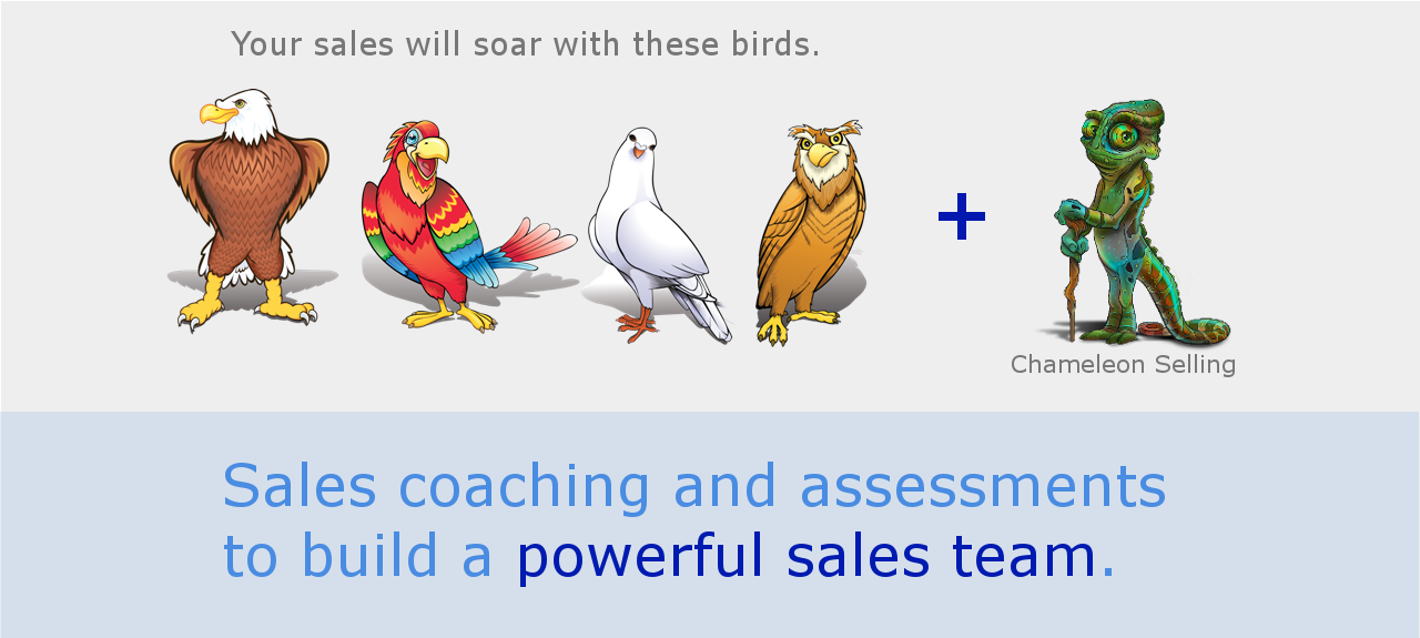 Sales consulting to improve communication skills and drive skills, build and train a better sales team through sales managementnt consuliting