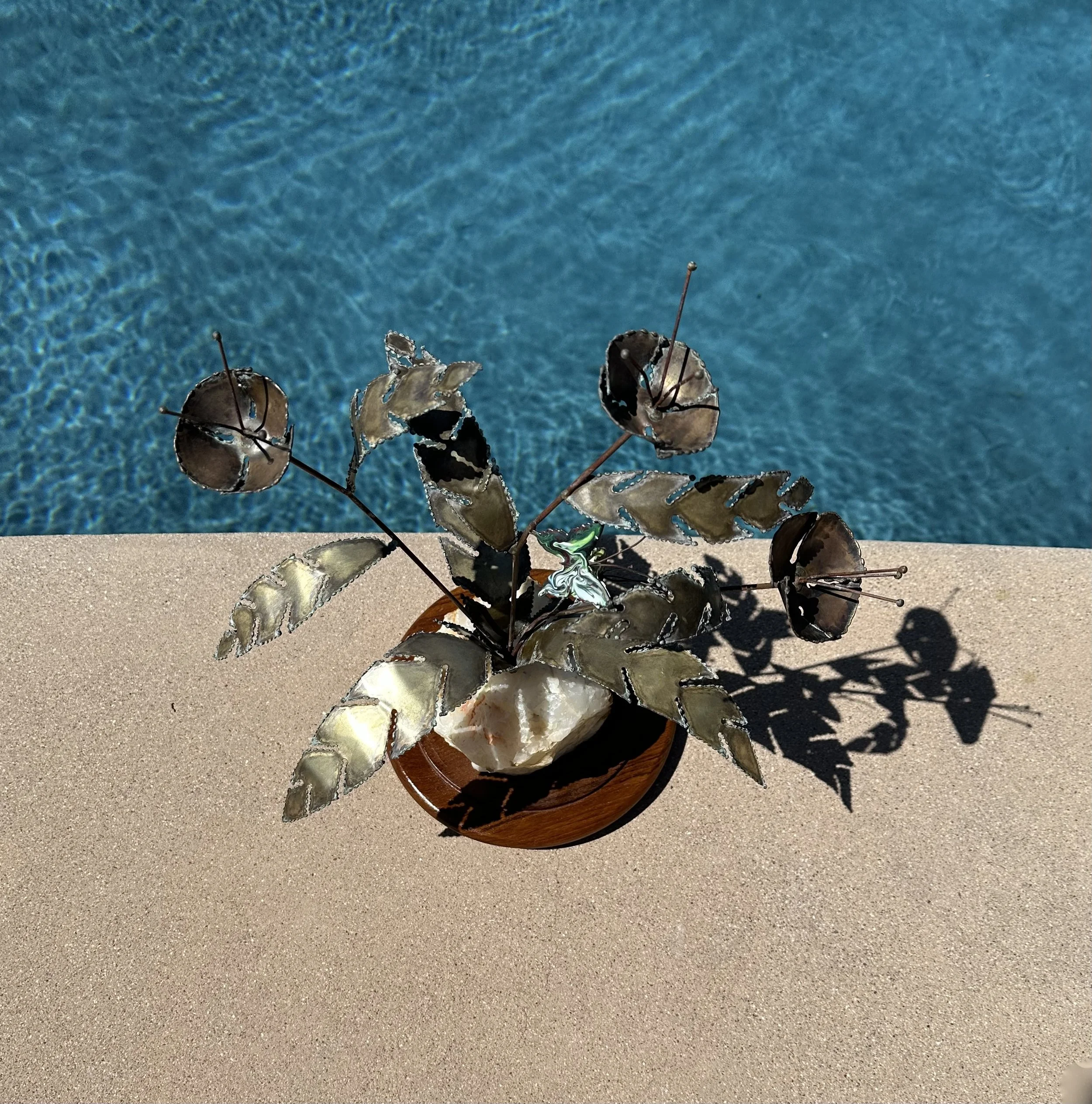 IMG_4274.jpeg