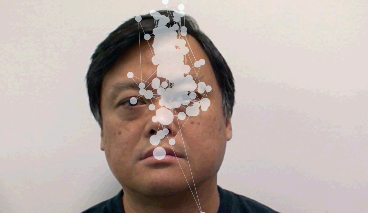  A composite visualization of the individual's saccades and fixations.&nbsp; 