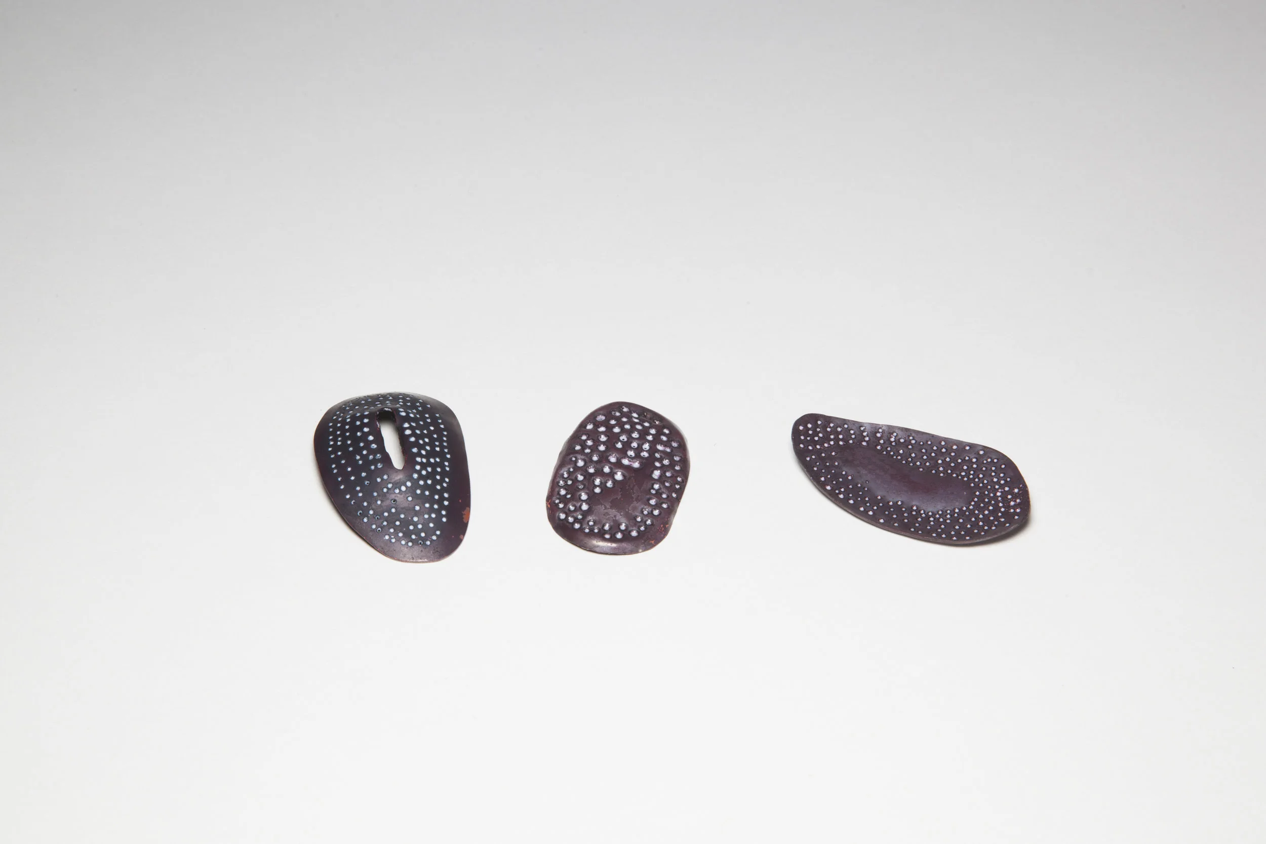 Diatoms